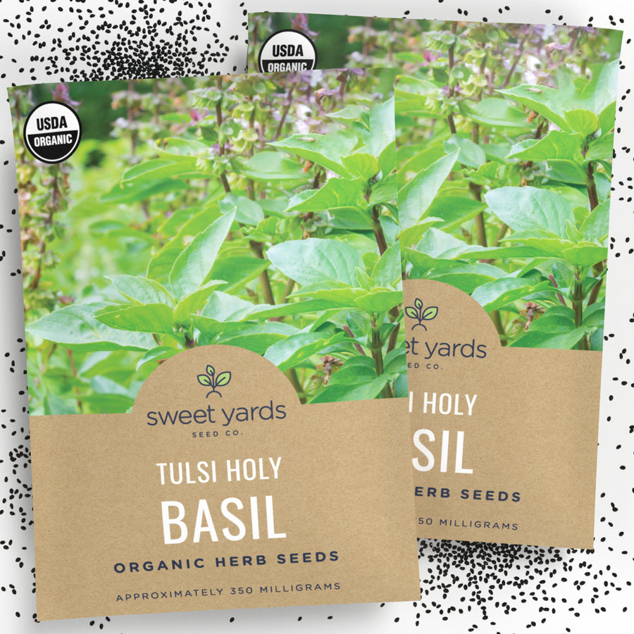 Organic Tulsi Basil