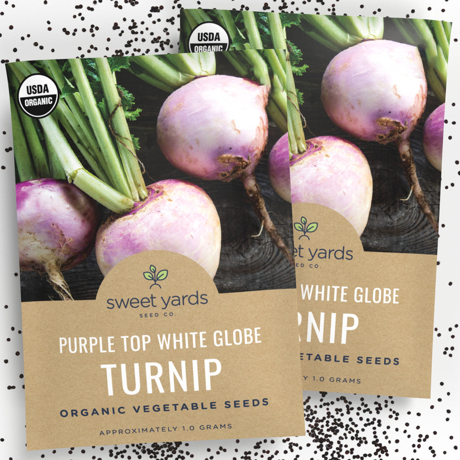 Organic Purple Top White Globe Turnip