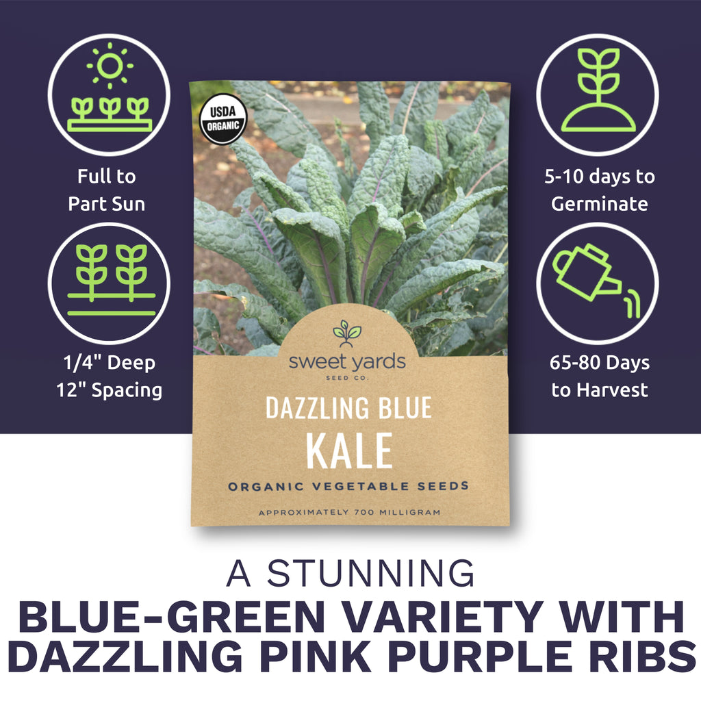 Organic Dazzling Blue Kale Seeds