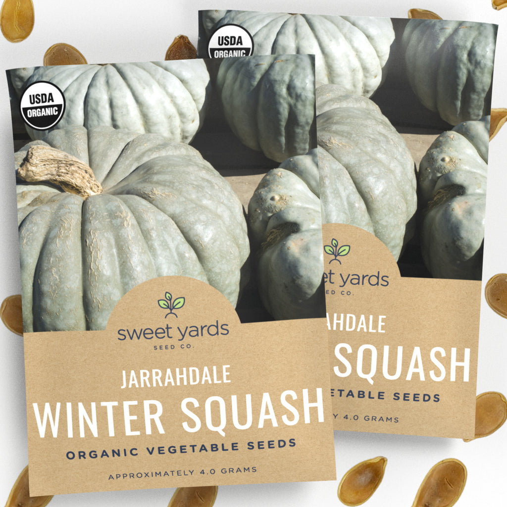 Organic Jarrahdale Winter Squash