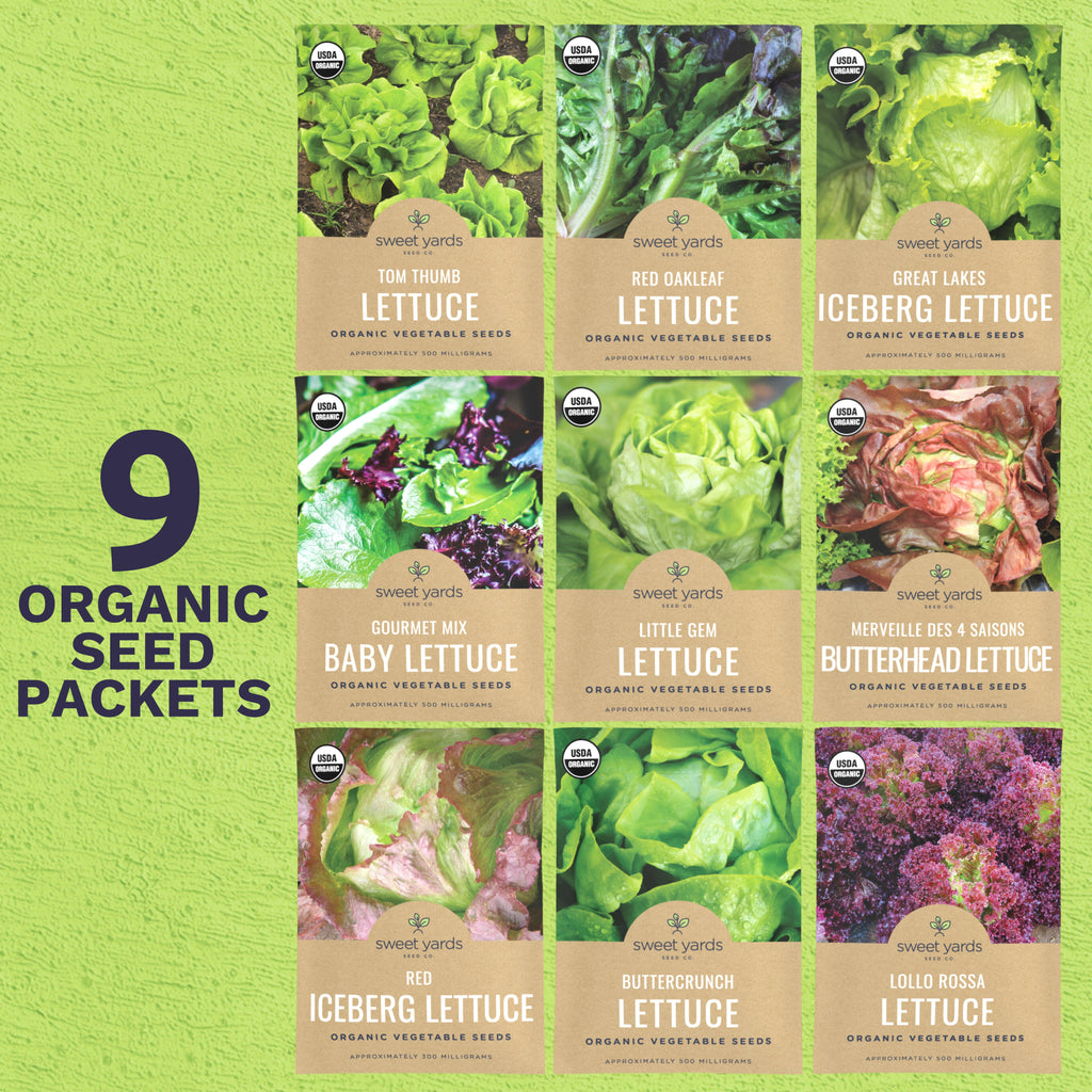 Organic Lettuce Lovers' Heirloom Seeds Variety - 9 Packets