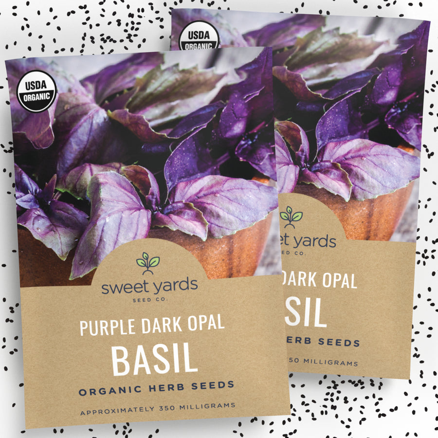 Organic Purple Dark Opal Basil