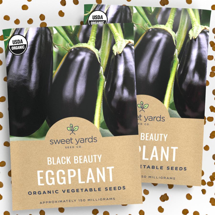 Organic Black Beauty Eggplant