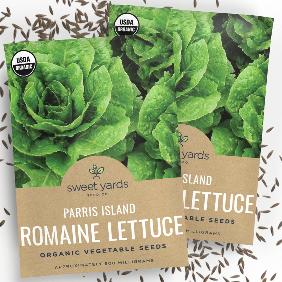 Organic Parris Island Romaine Lettuce