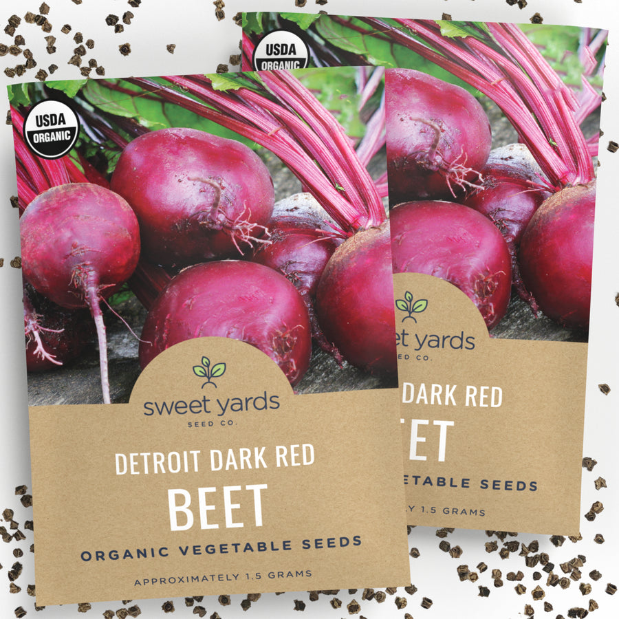 Organic Detroit Dark Red Beet