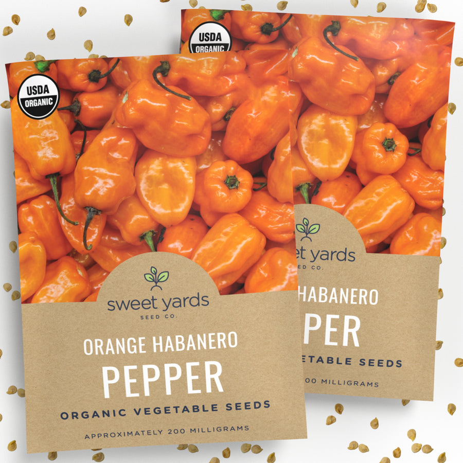 Organic Habanero Orange Pepper