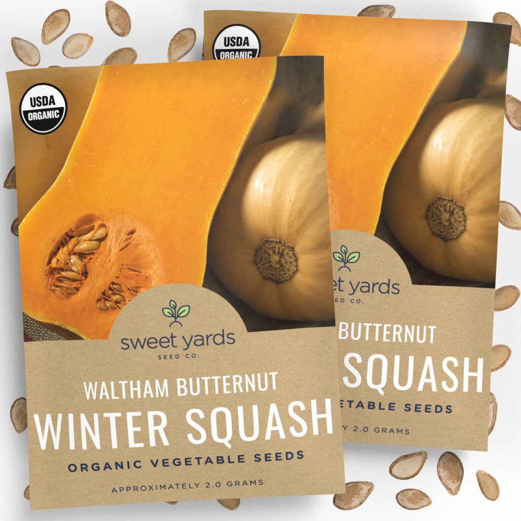 Organic Waltham Butternut Squash