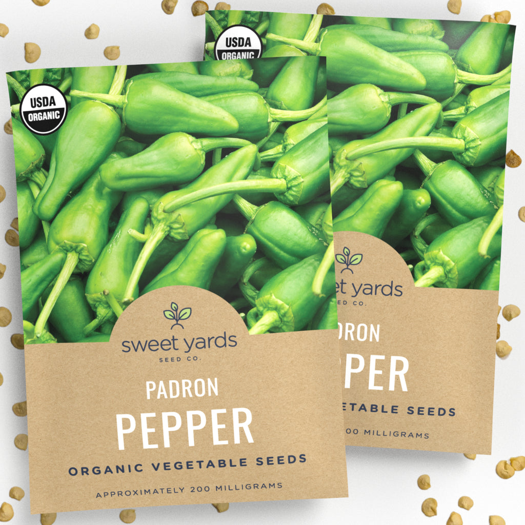 Organic Padron Pepper Seeds