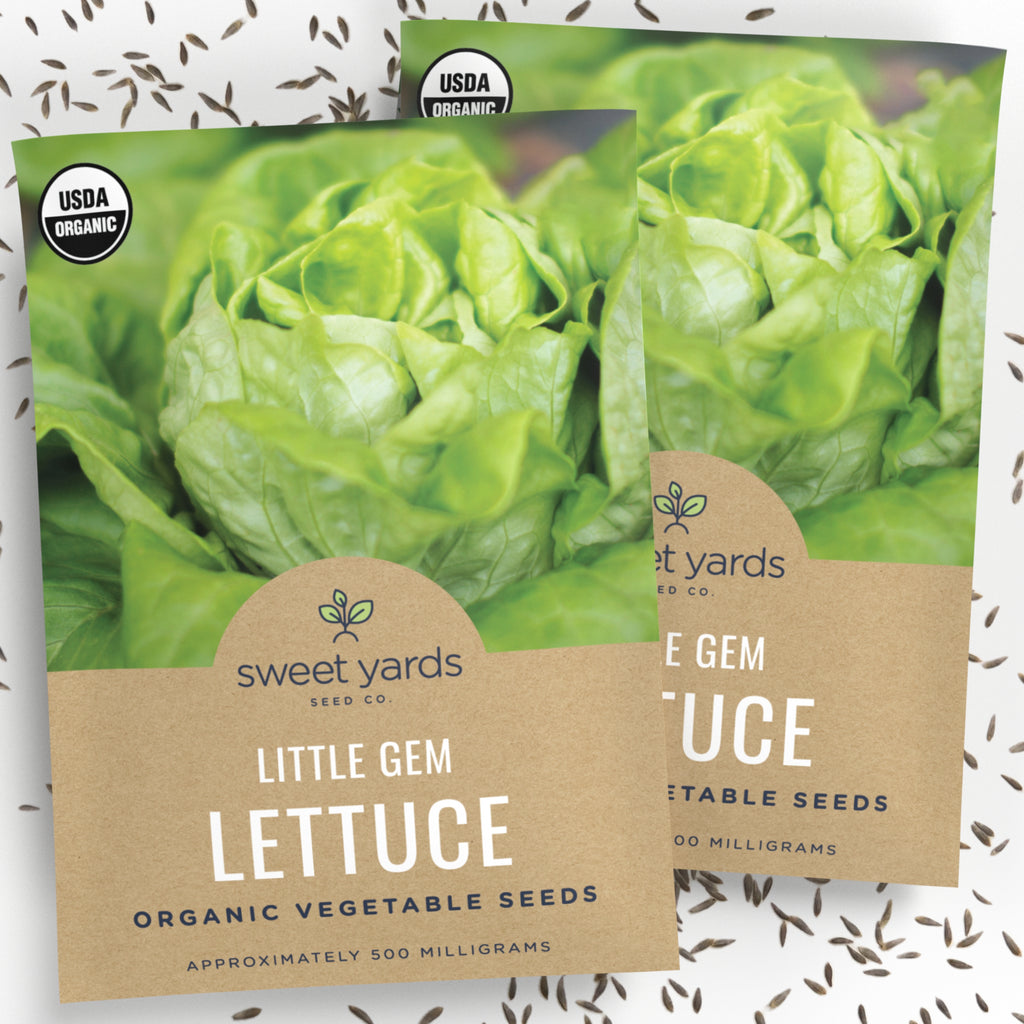 Organic Little Gem Lettuce