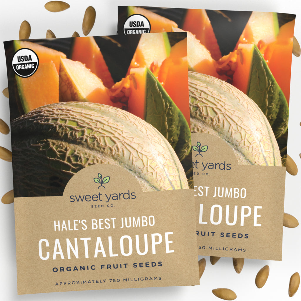 Organic Hale's Best Jumbo Cantaloupe