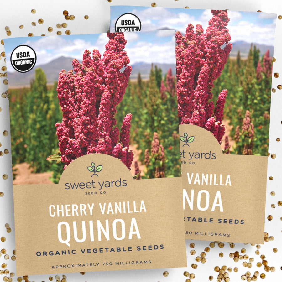 Organic Cherry Vanilla Quinoa Seeds