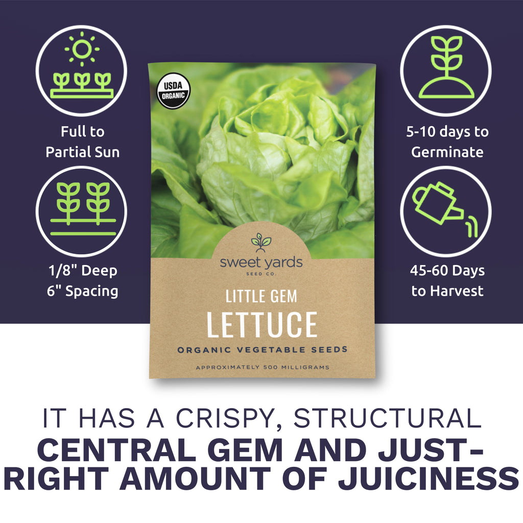 Organic Little Gem Lettuce