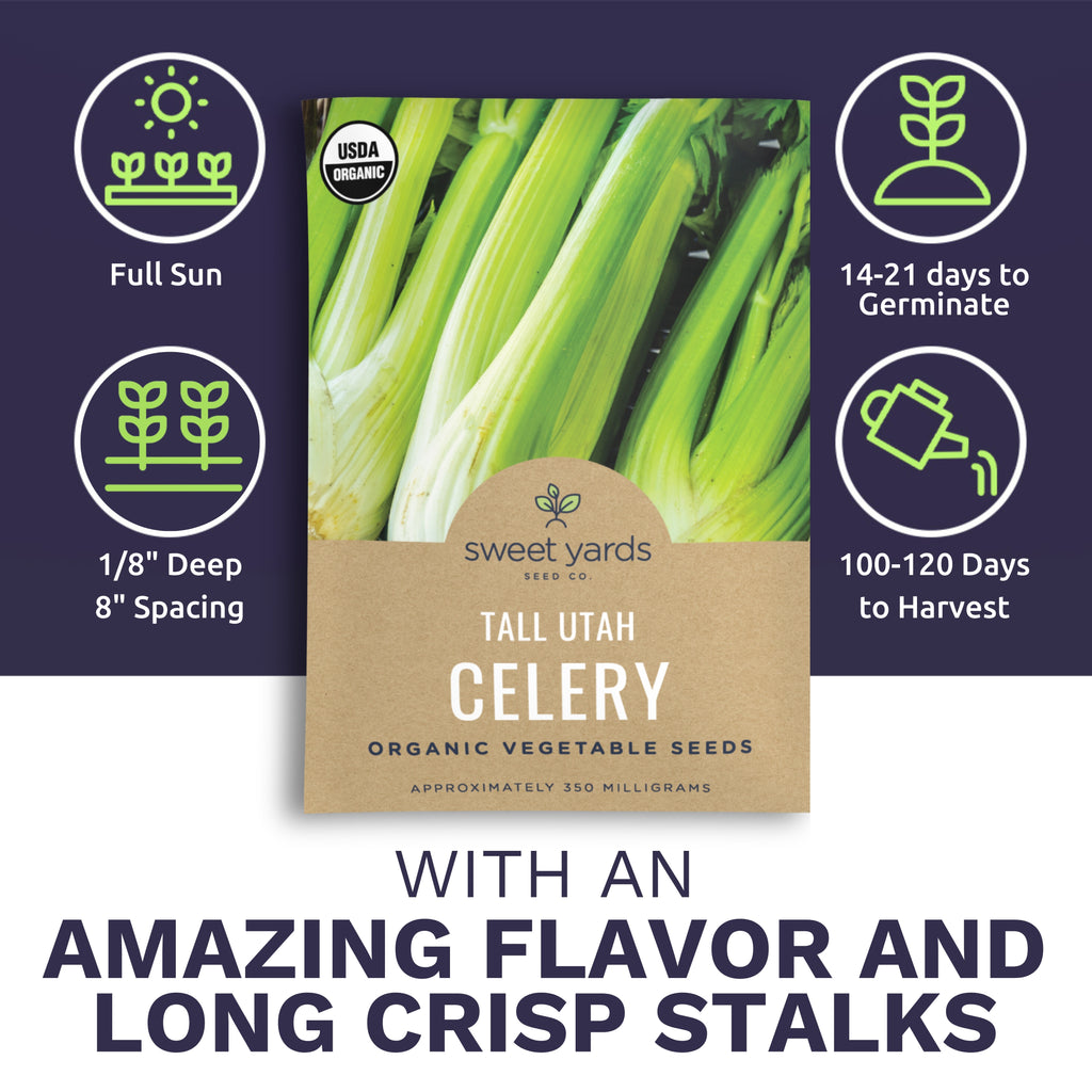 Organic Tall Utah Celery