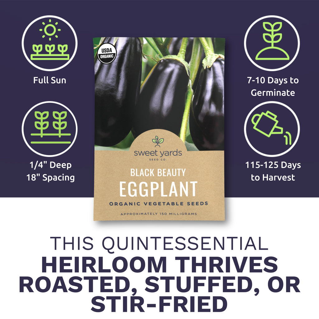 Organic Black Beauty Eggplant