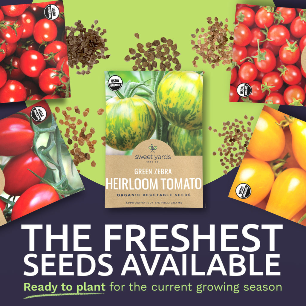 Cherry Tomato Seeds Variety Pack