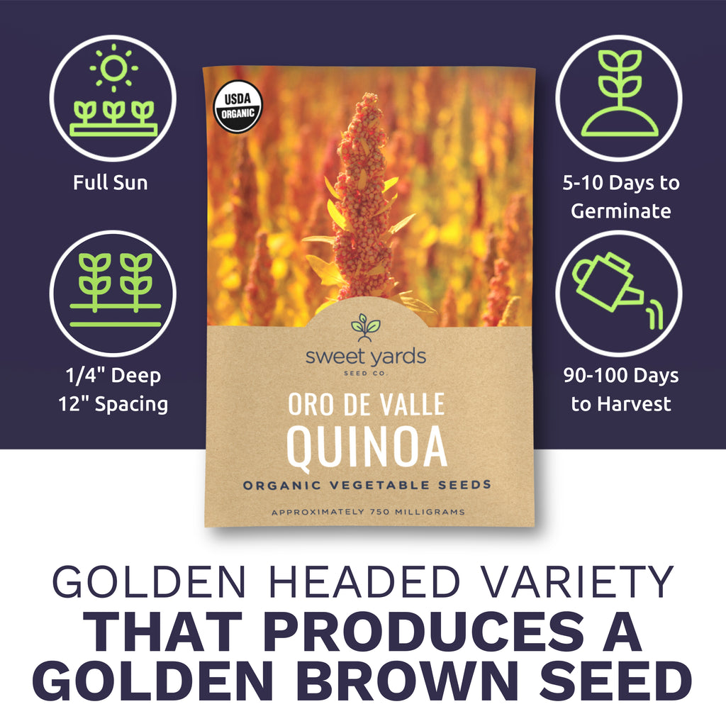 Organic Oro De Valle Quinoa Seeds