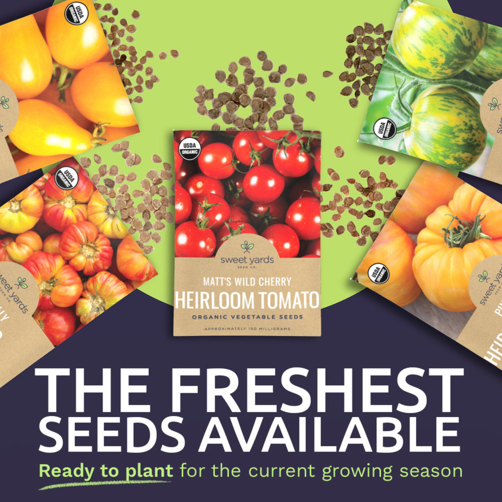 Organic Heirloom Tomato Seeds Variety Pack - 9 Seed Packets