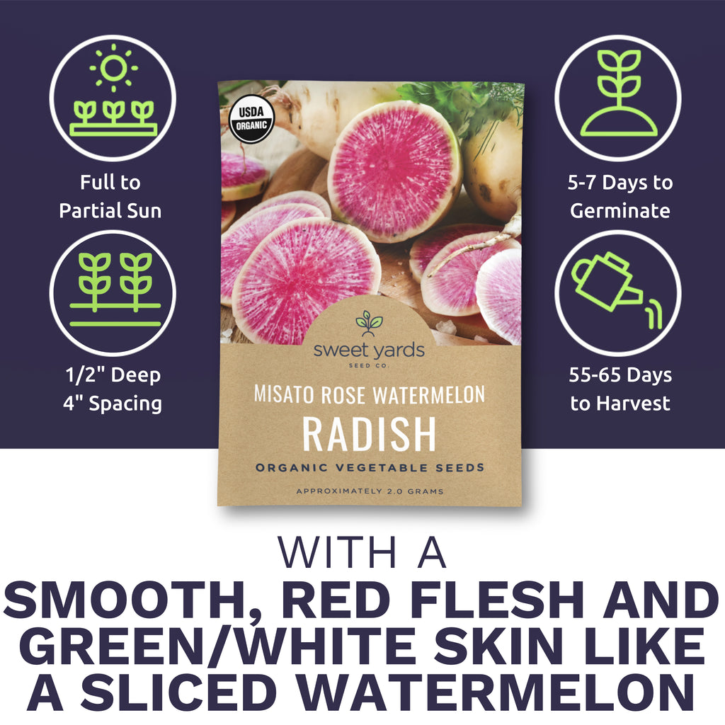 Organic Misato Rose Watermelon Radish