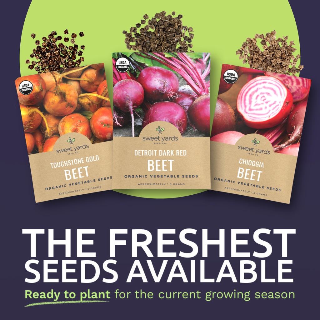 Organic Beet Lovers' Heirloom Seeds Variety Pack - 3 Packets