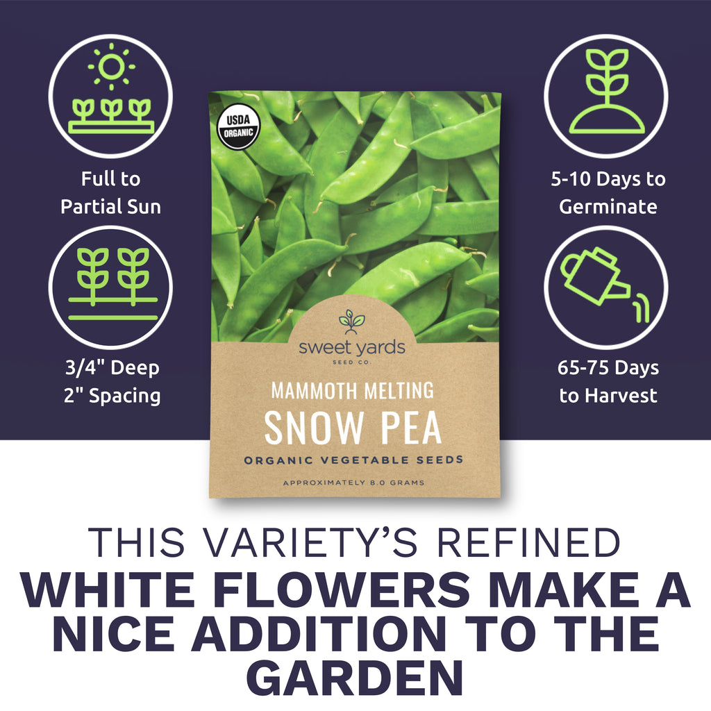 Organic Mammoth Melting Snow Pea