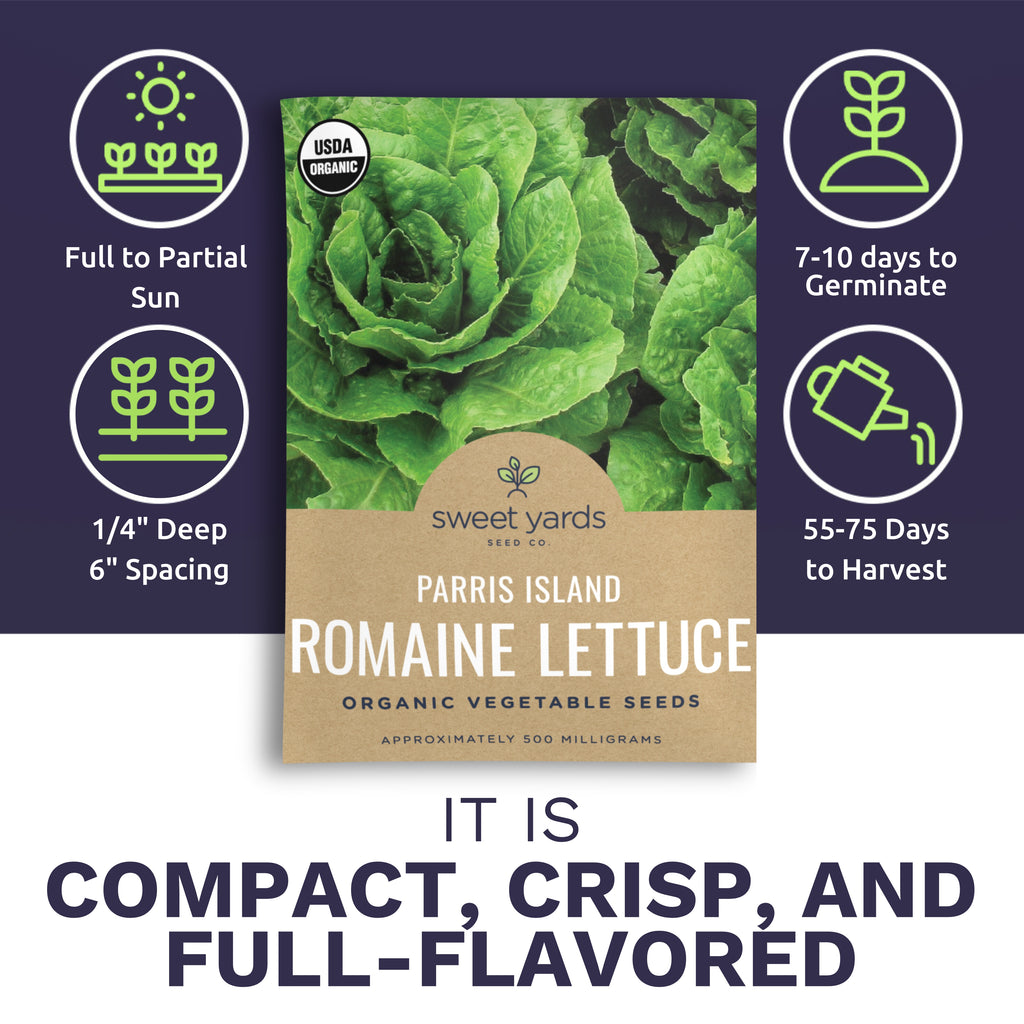 Organic Parris Island Romaine Lettuce