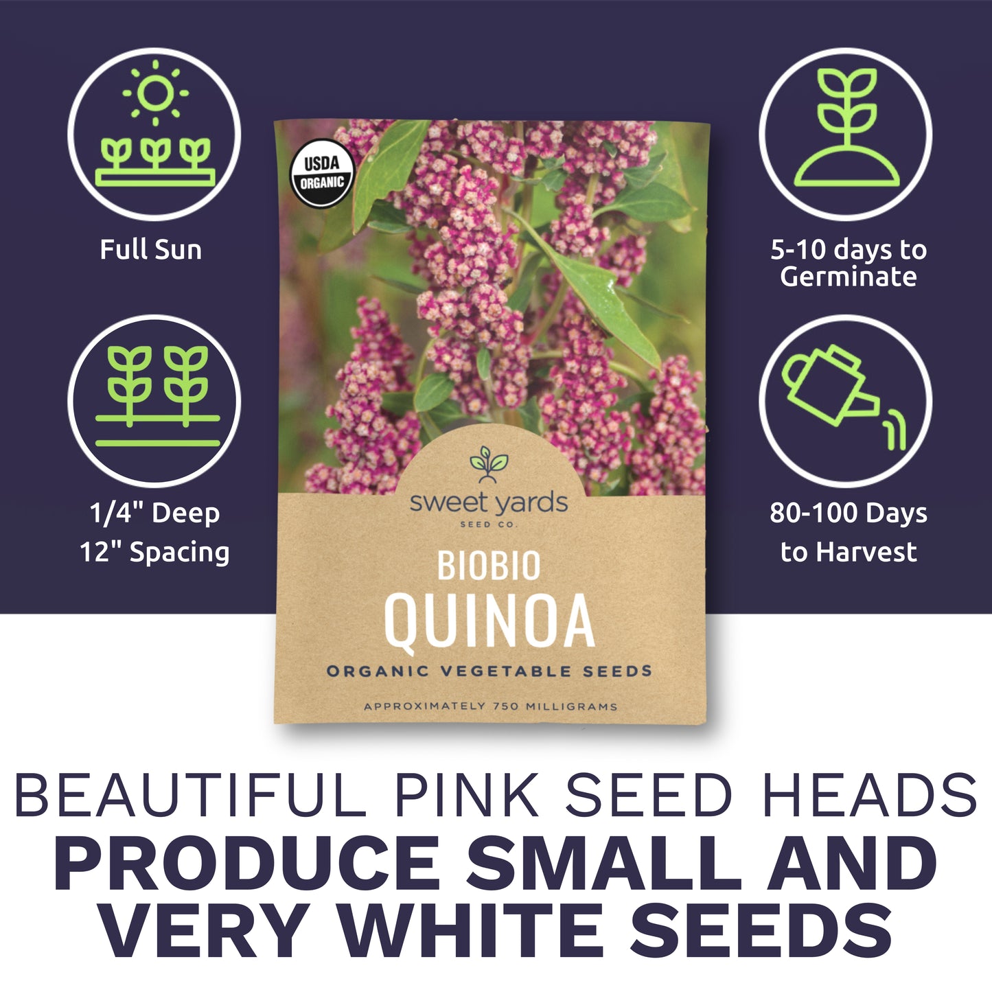 Organic Biobio Quinoa Seeds