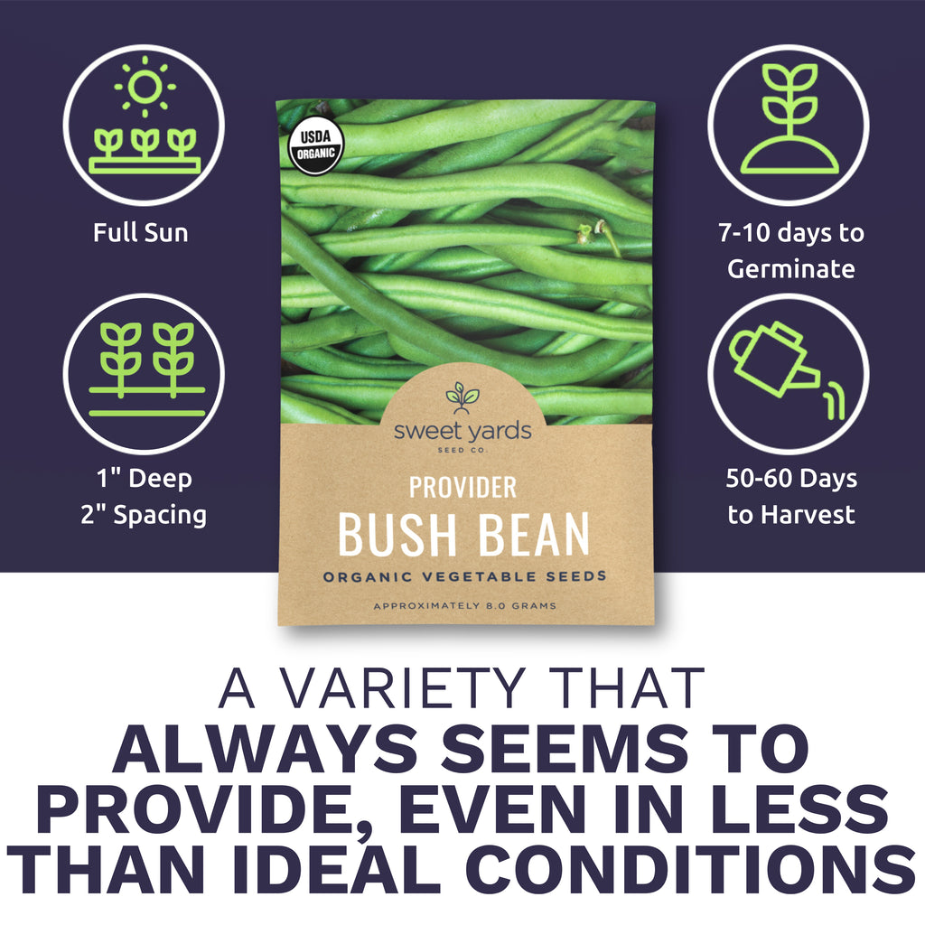 Organic Provider Bush Bean