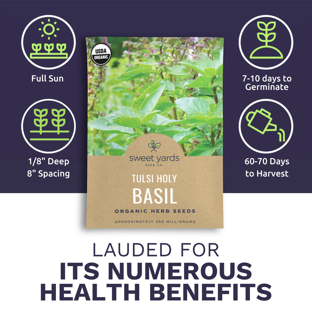 Organic Tulsi Basil