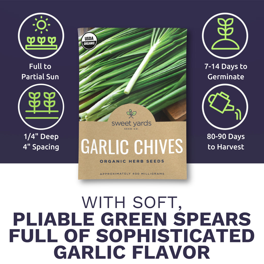 Organic Garlic Chives