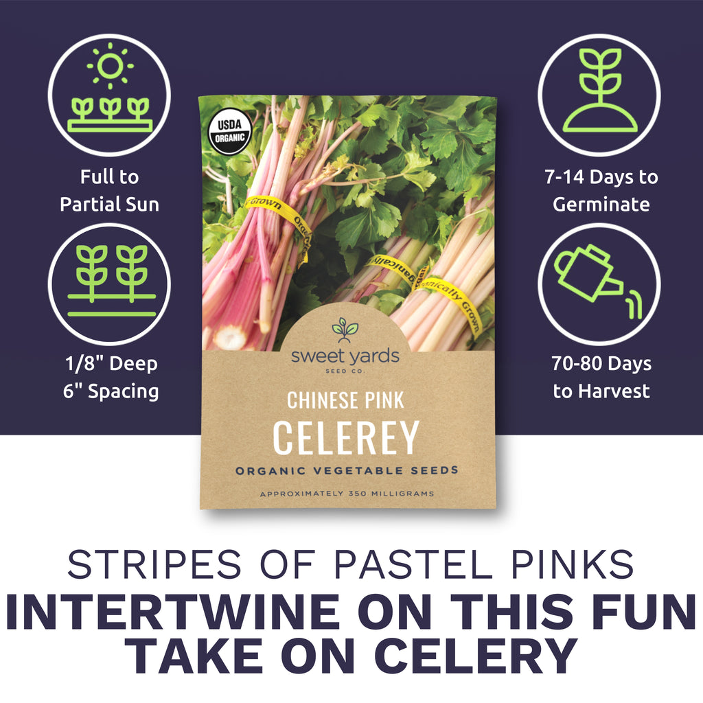 Organic Chinese Pink Celery