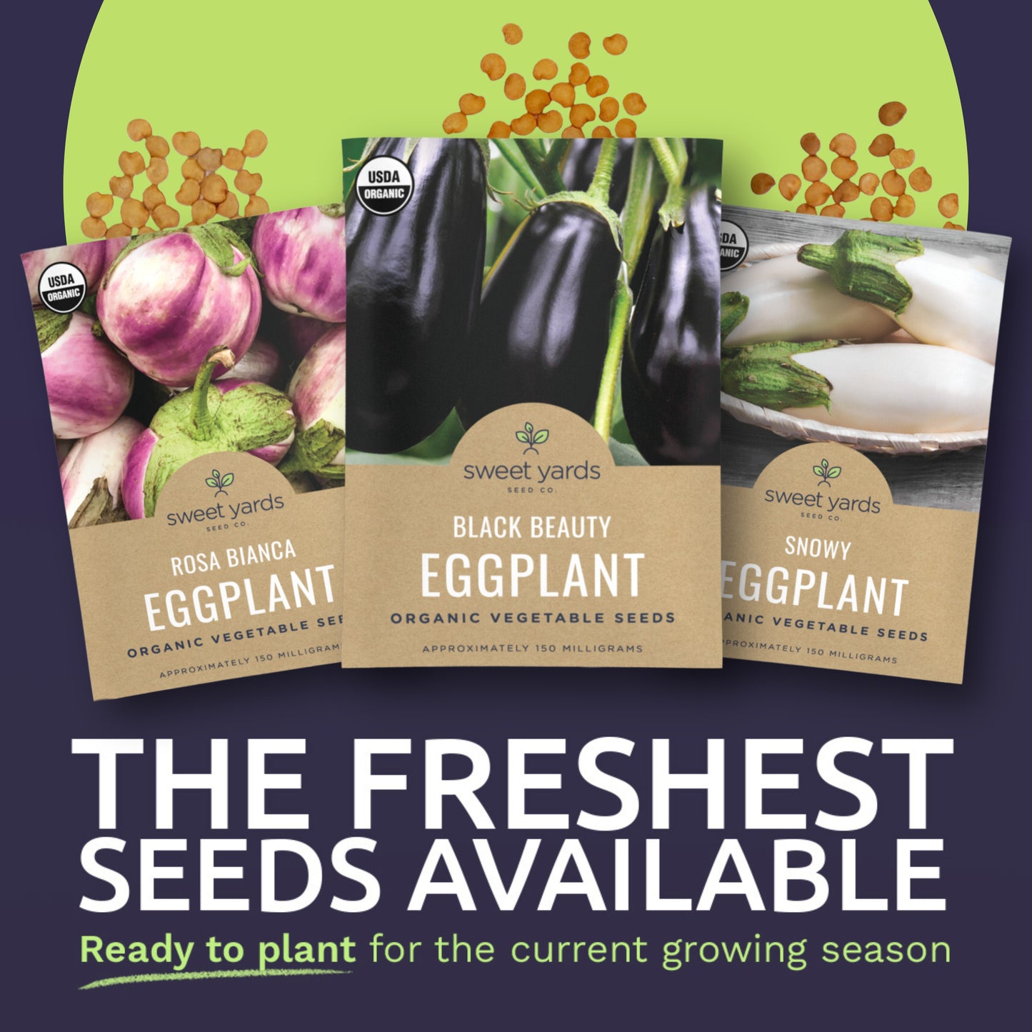 Organic Eggplant Seeds Variety Pack - 3 Individual Packs