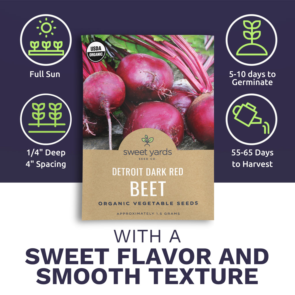 Organic Detroit Dark Red Beet