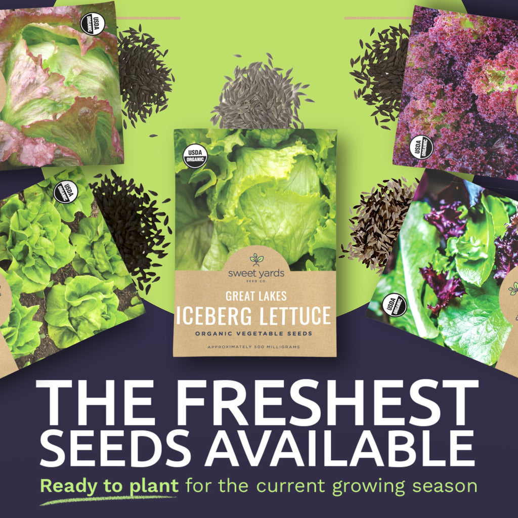 Organic Lettuce Lovers' Heirloom Seeds Variety - 9 Packets