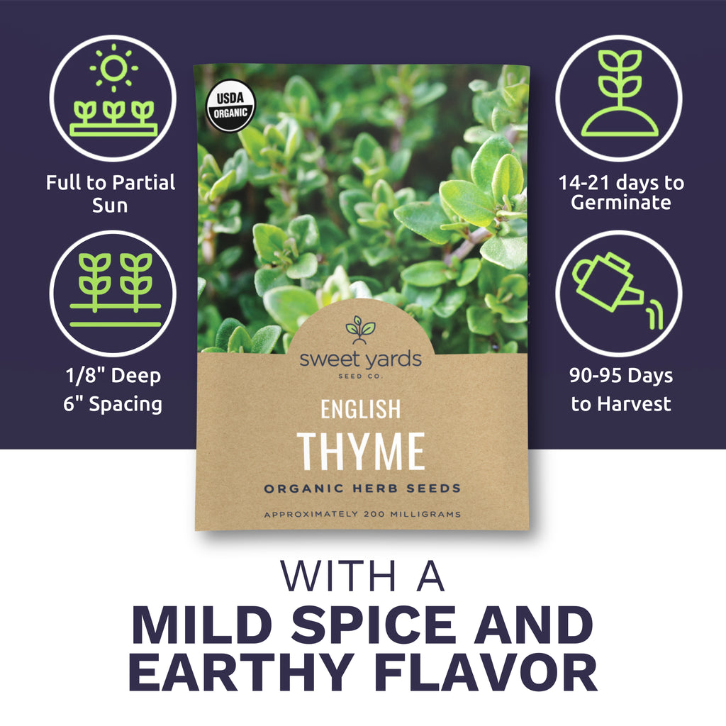 Organic English Thyme