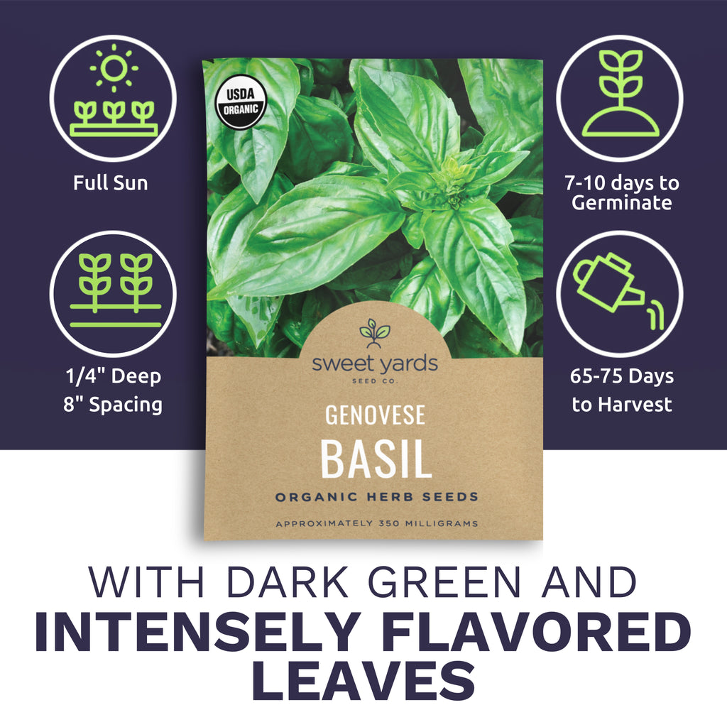 Organic Genovese Basil