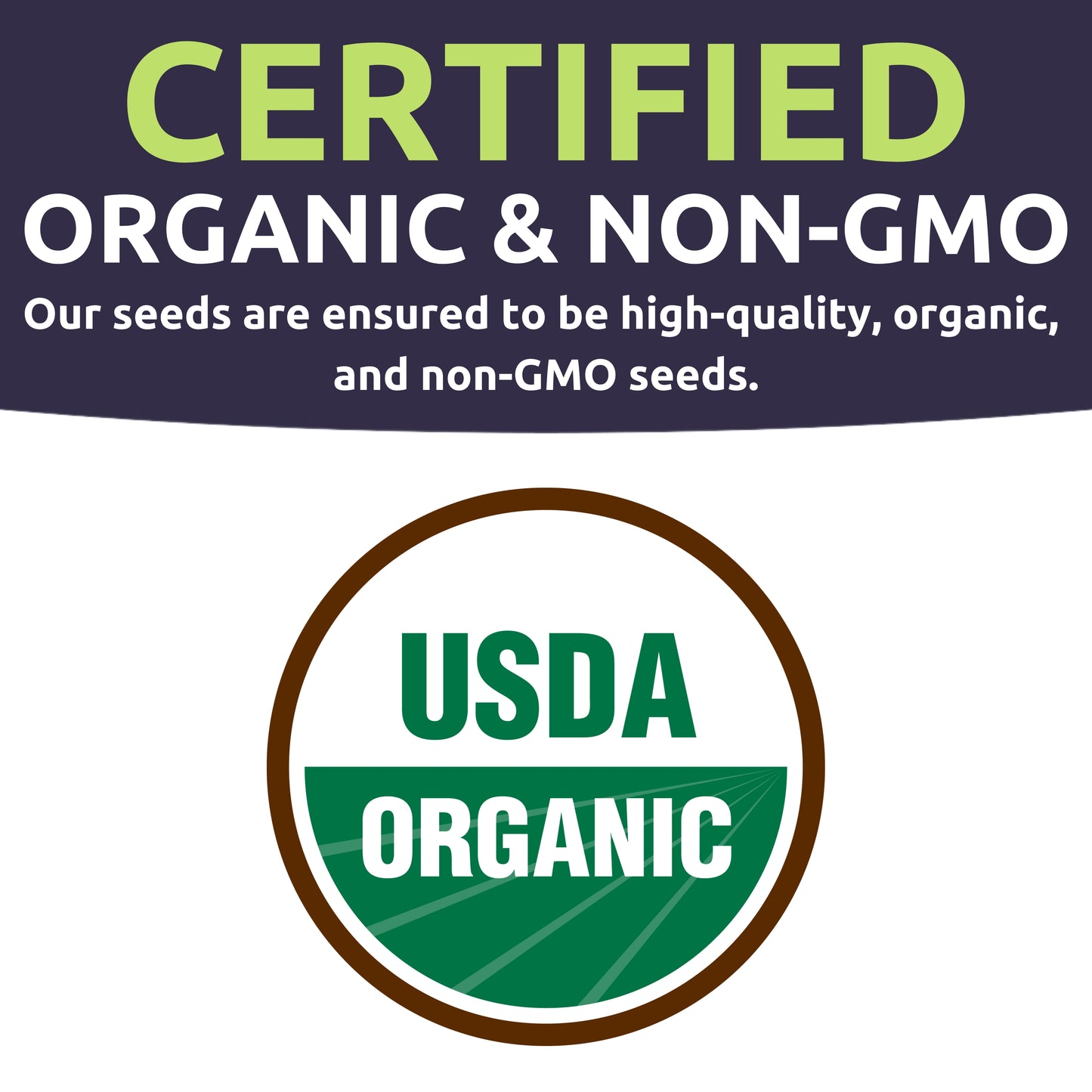 Organic Biobio Quinoa Seeds