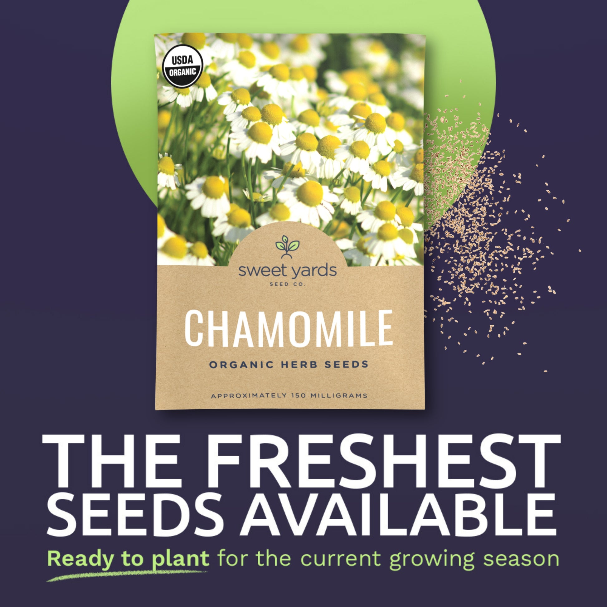 chamomile flower seeds for sale Organic Chamomile Seeds – Sweet Yards