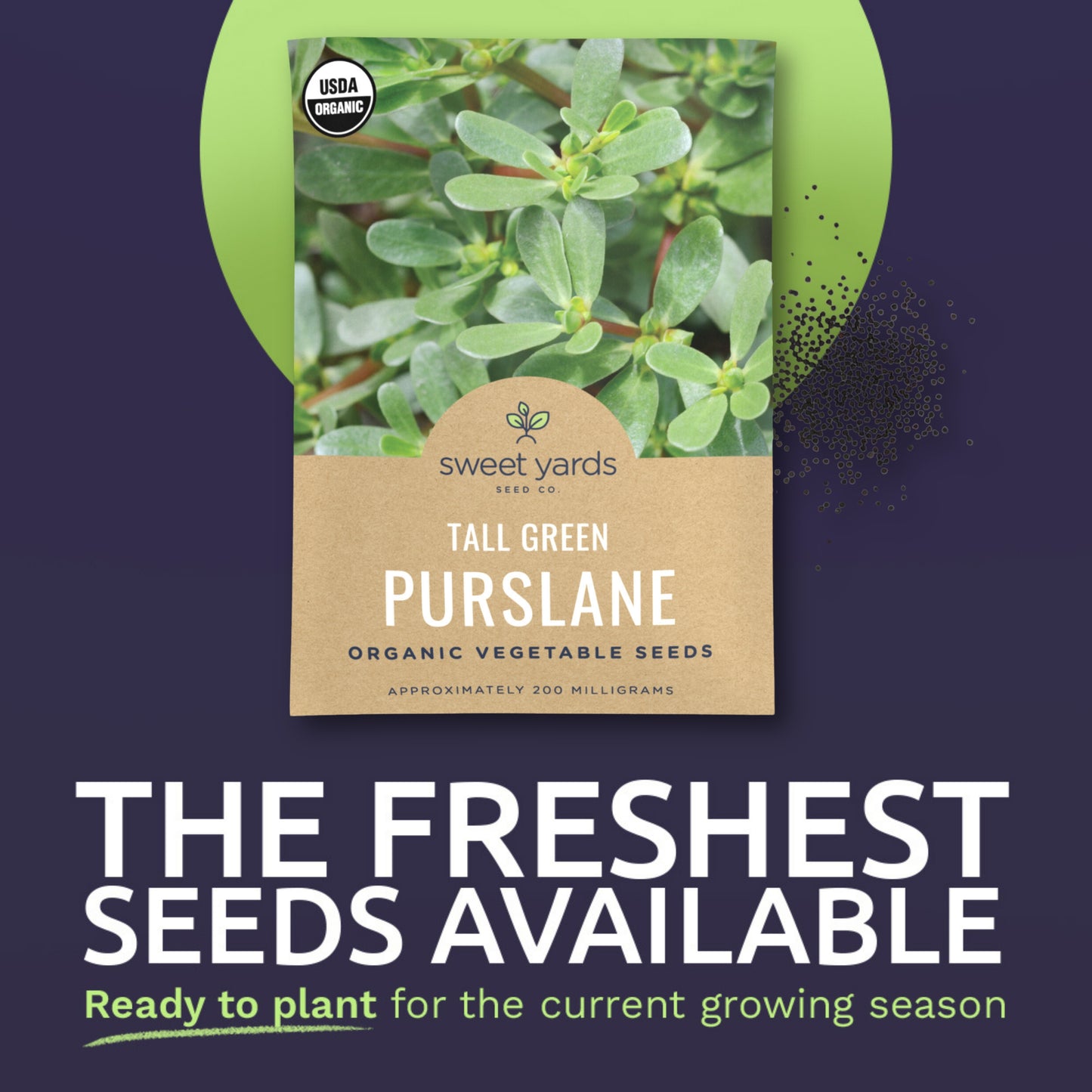 benefits of purslane plant Organic Tall Green Purslane Seeds – Sweet Yards
