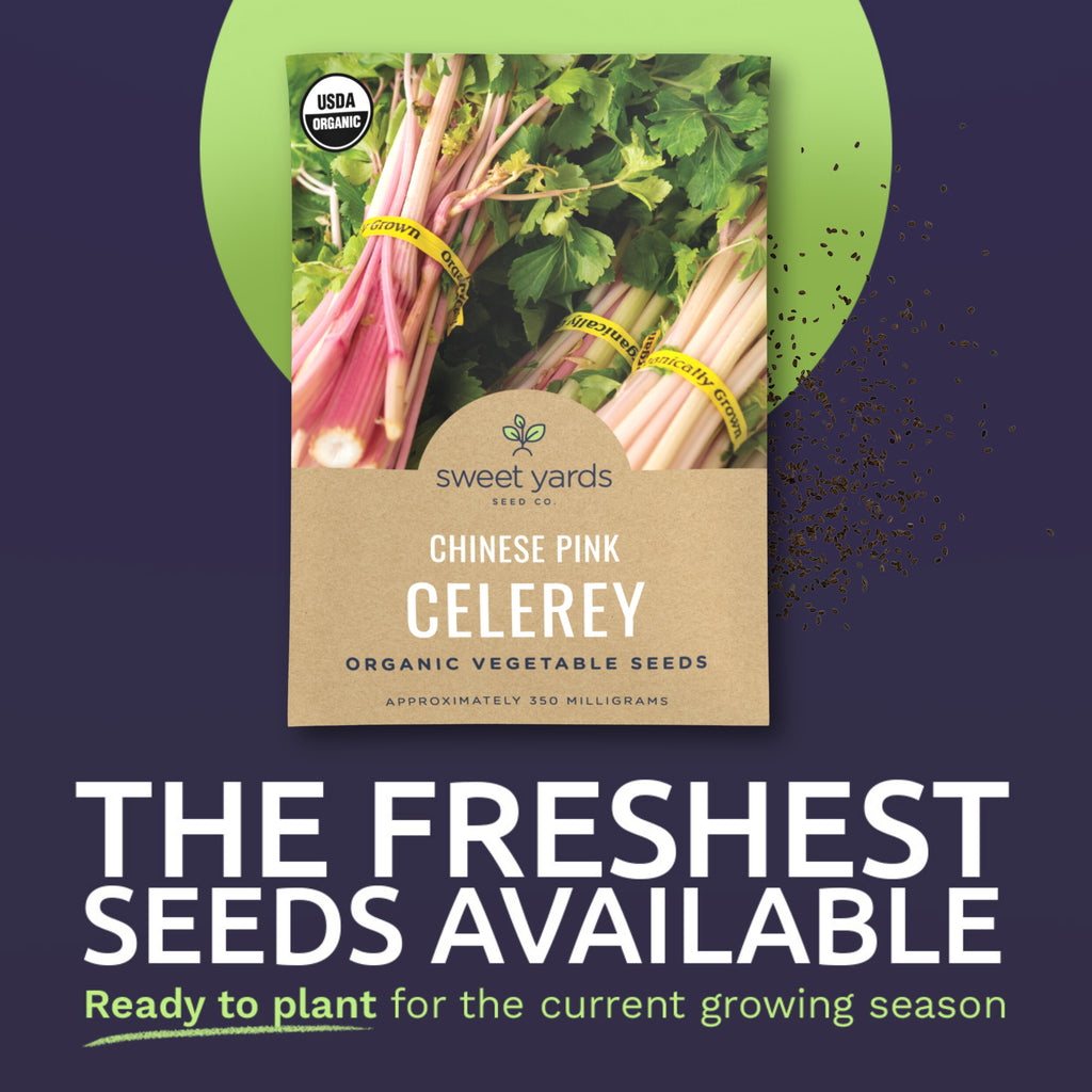 Organic Chinese Pink Celery