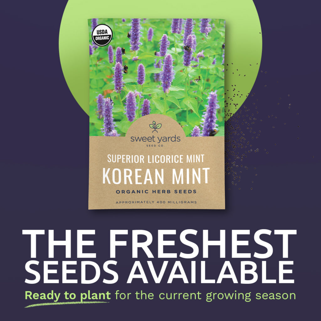 Organic Superior Licorice Korean Mint