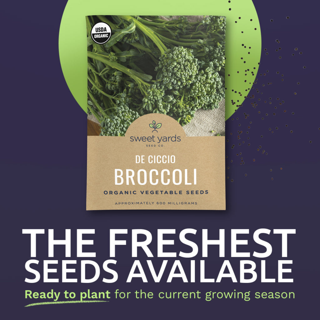 Organic De Ciccio Broccoli