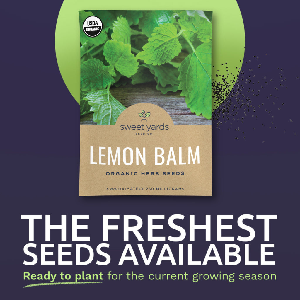 Organic Lemon Balm