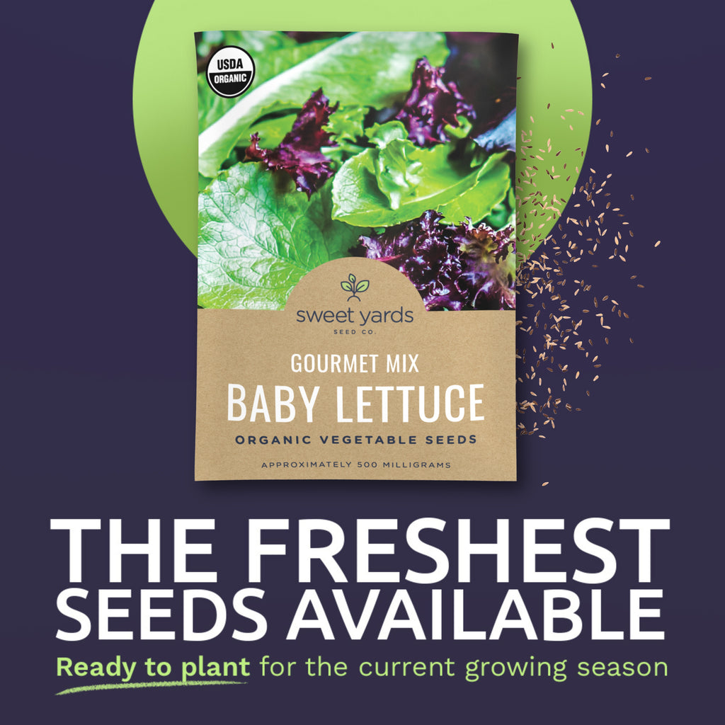 Organic Baby Leaf Lettuce Mix