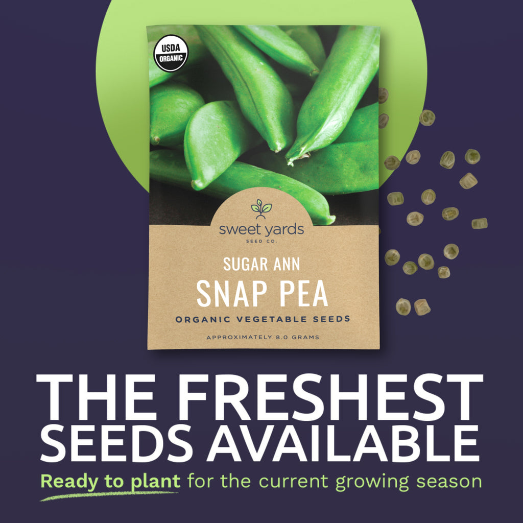 Organic Sugar Ann Snap Pea