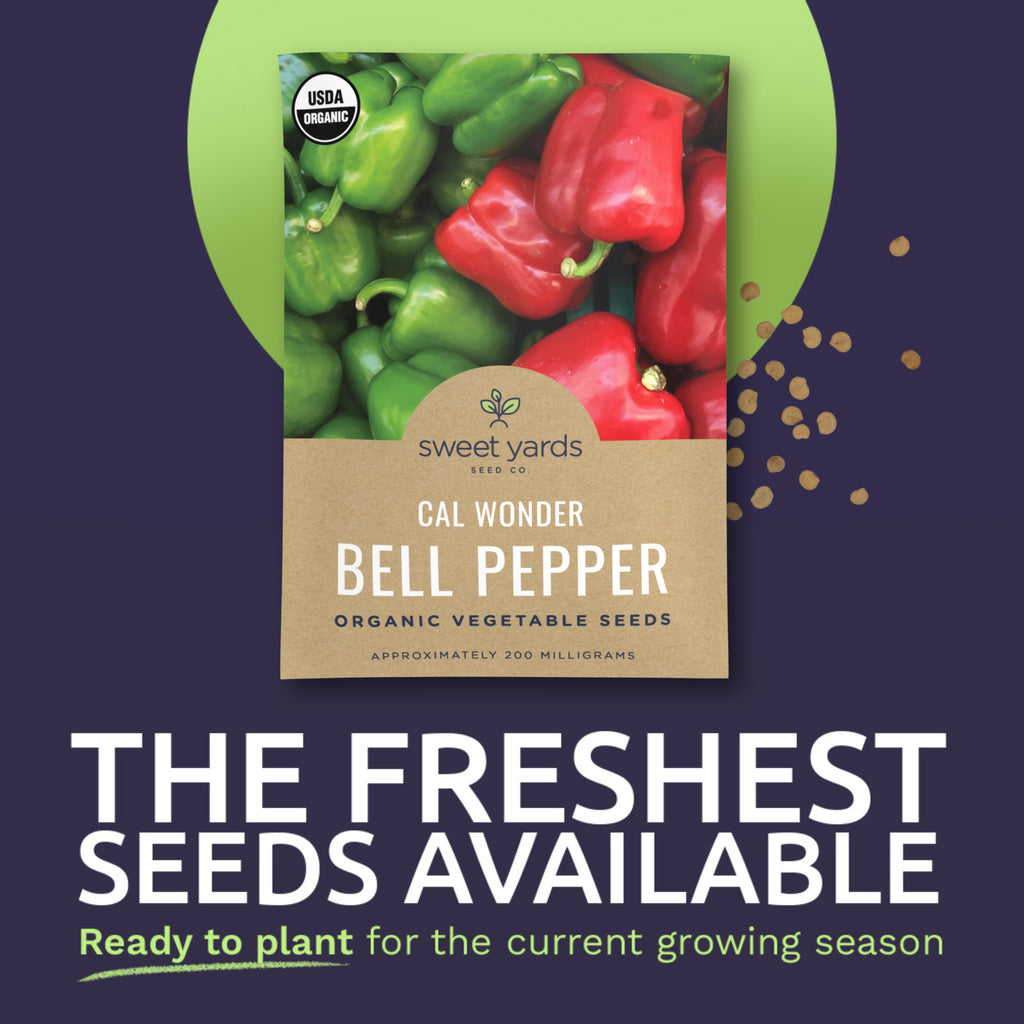 Organic California Wonder Bell Pepper