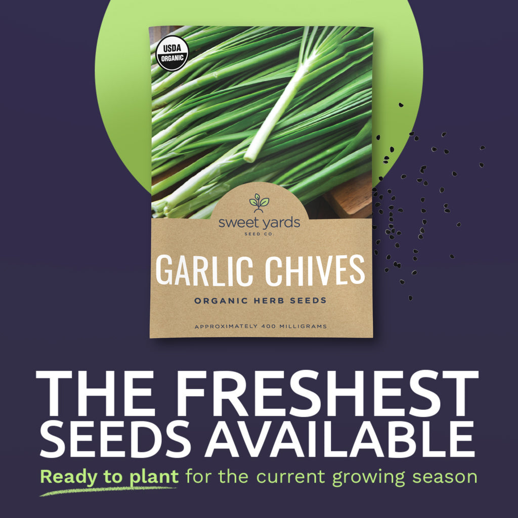 Organic Garlic Chives