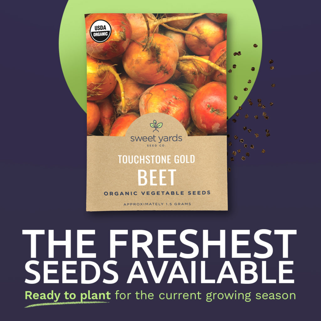 Organic Touchstone Gold Beet