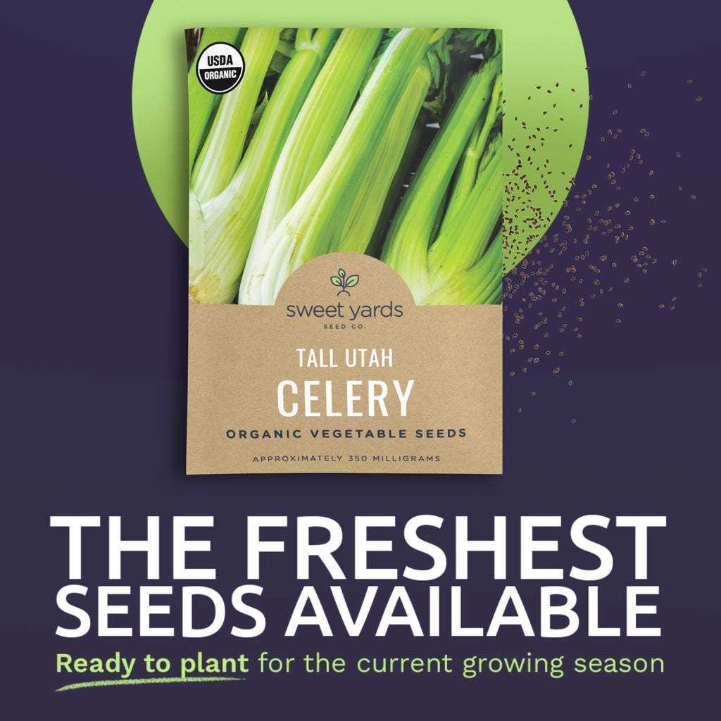 Organic Tall Utah Celery