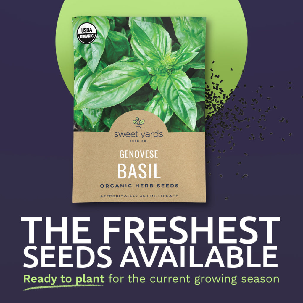 Organic Genovese Basil