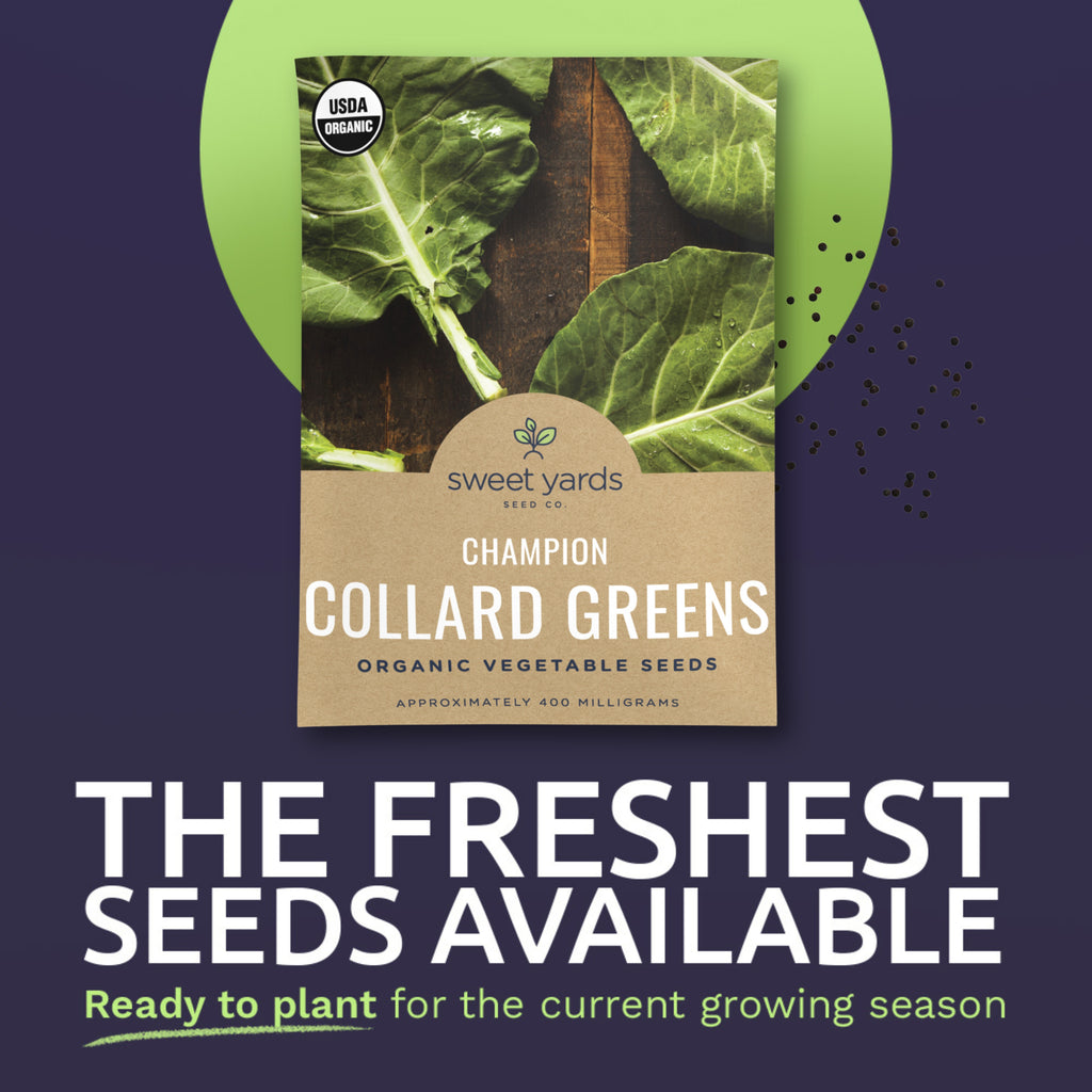 Organic Champion Collard Greens